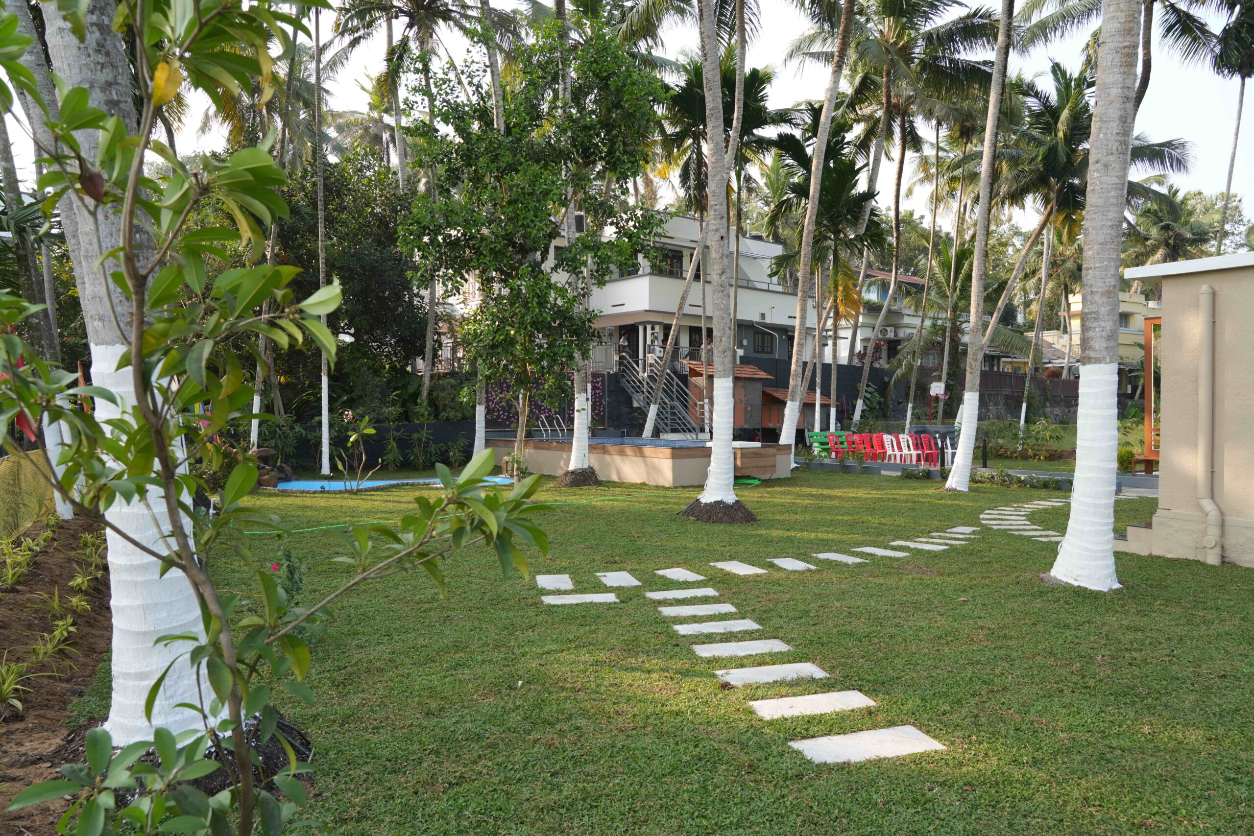 Lush Green Back Yard